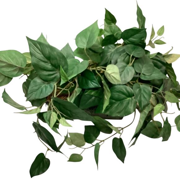 Artificial Pothos Plant in a Pot - Picture 3 of 4